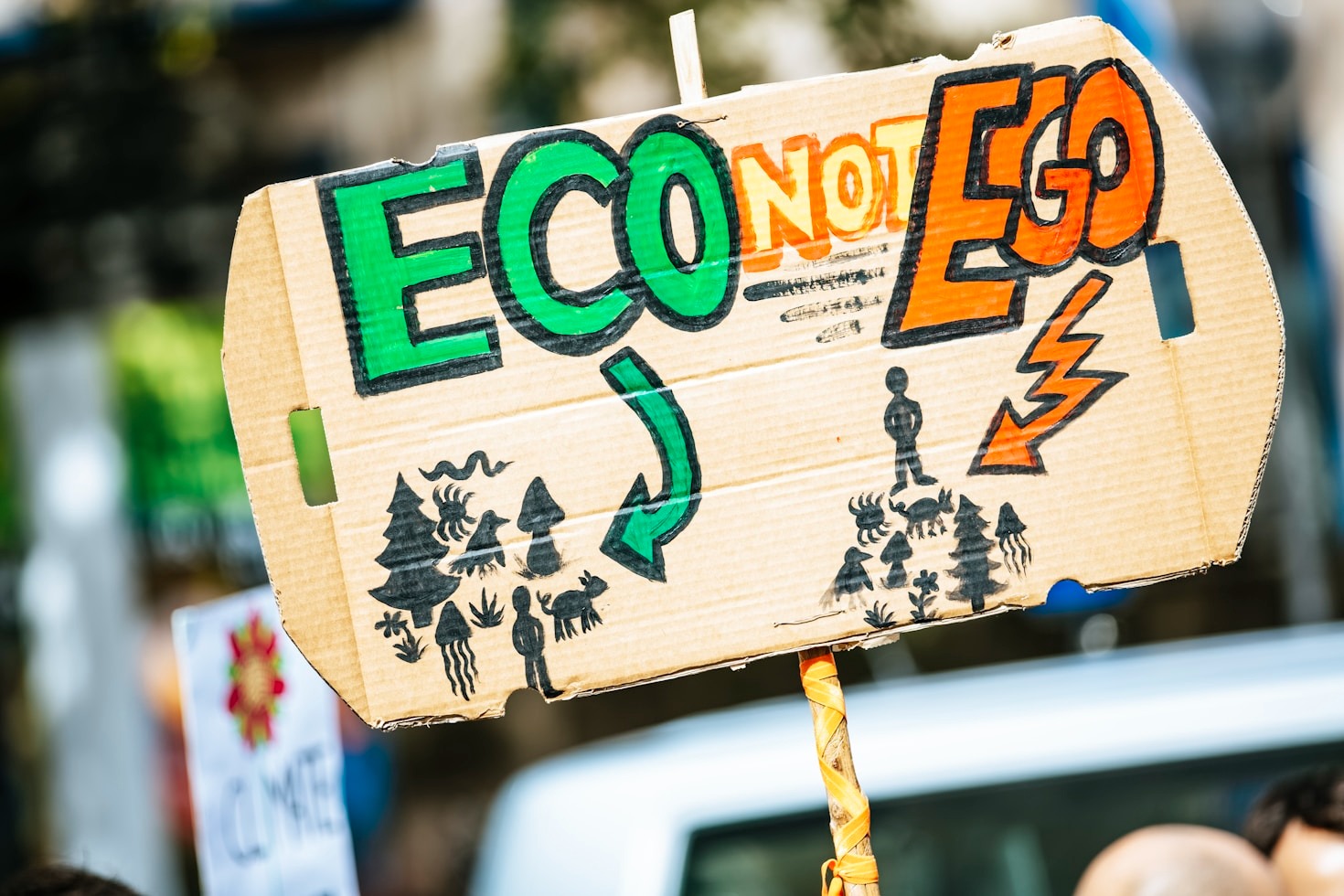 The Role of Innovation in Ecosystem Regeneration
