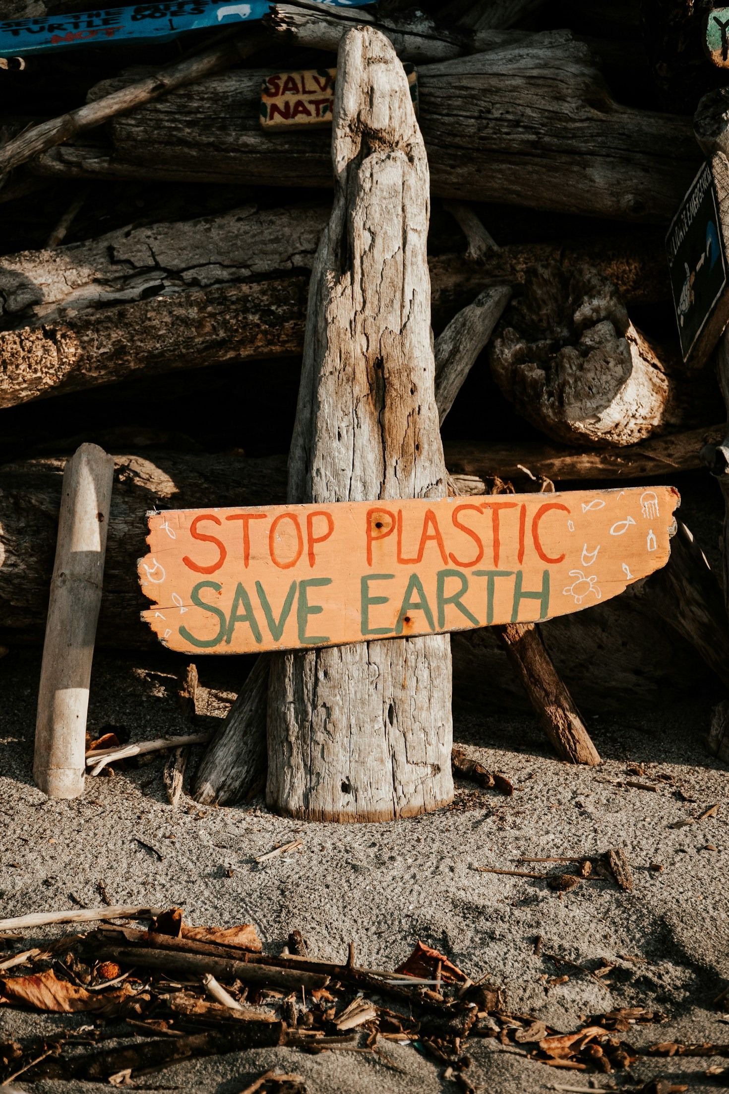 Building Resilience Through Practical Solutions